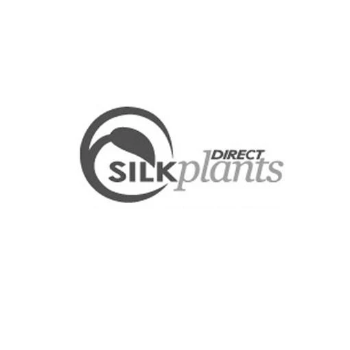 Silk Plants Direct Peony, Ranunculus, Rose - White Pink - Pack of 1