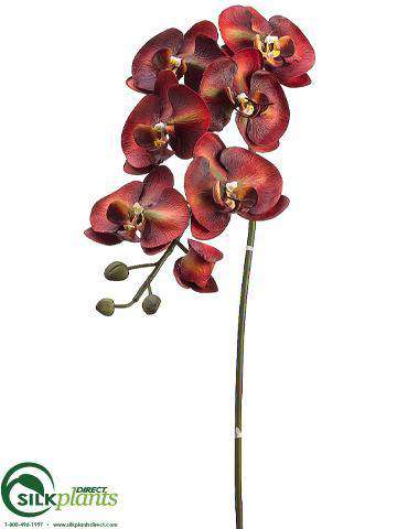 Silk Plants Direct Large Phalaenopsis Orchid Spray - Cream Mauve - Pack of 6