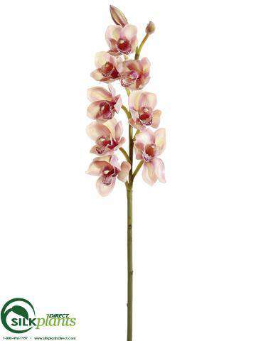 Silk Plants Direct Cymbidium Orchid Spray - Green Burgundy - Pack of 6