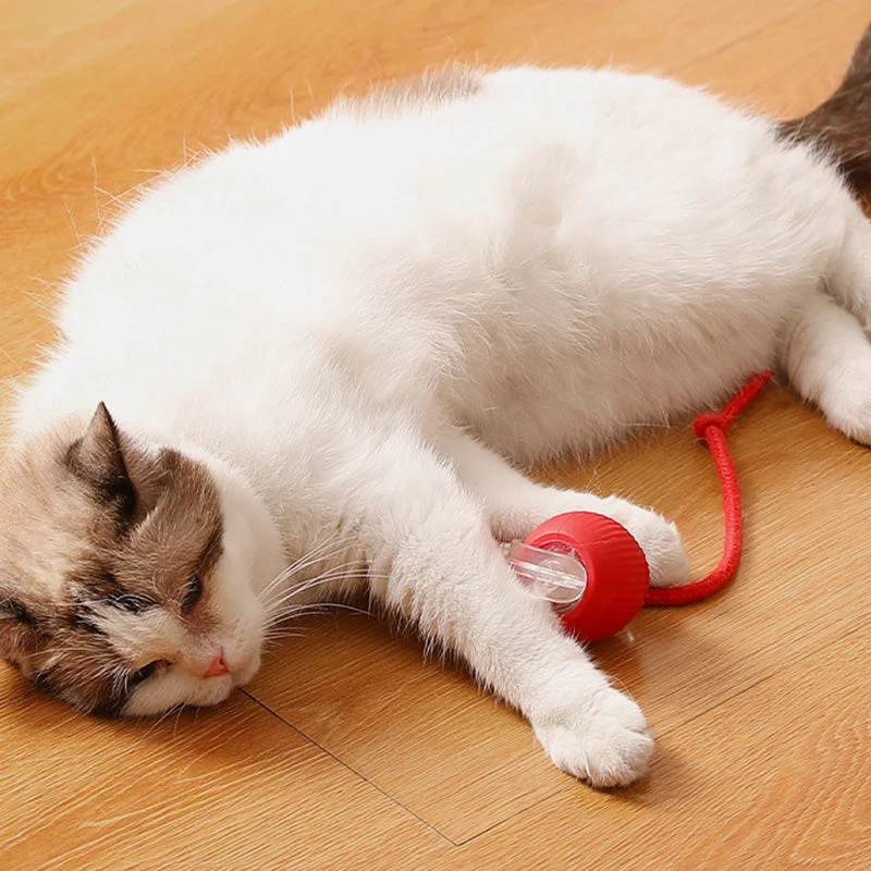 🐱50% Off🐶Smart Automatic Rolling Pet Ball