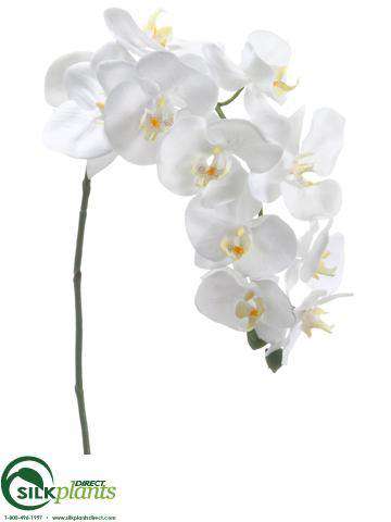 Silk Plants Direct Phalaenopsis Orchid Spray - Orchid - Pack of 12