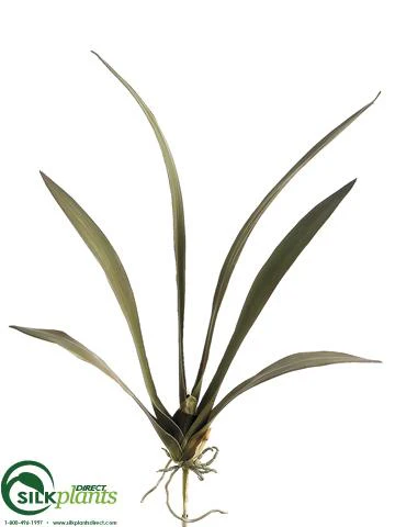 Silk Plants Direct Oncidium Orchid Leaf Spray - Green - Pack of 12