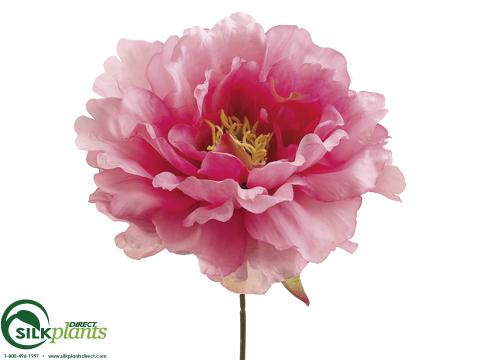 Silk Plants Direct Peony Pick - Pink Hot - Pack of 24