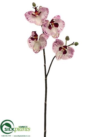 Silk Plants Direct Phalaenopsis Orchid Spray - White Green - Pack of 6