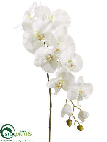 Silk Plants Direct Phalaenopsis Orchid Spray - Cream Rubrum - Pack of 6