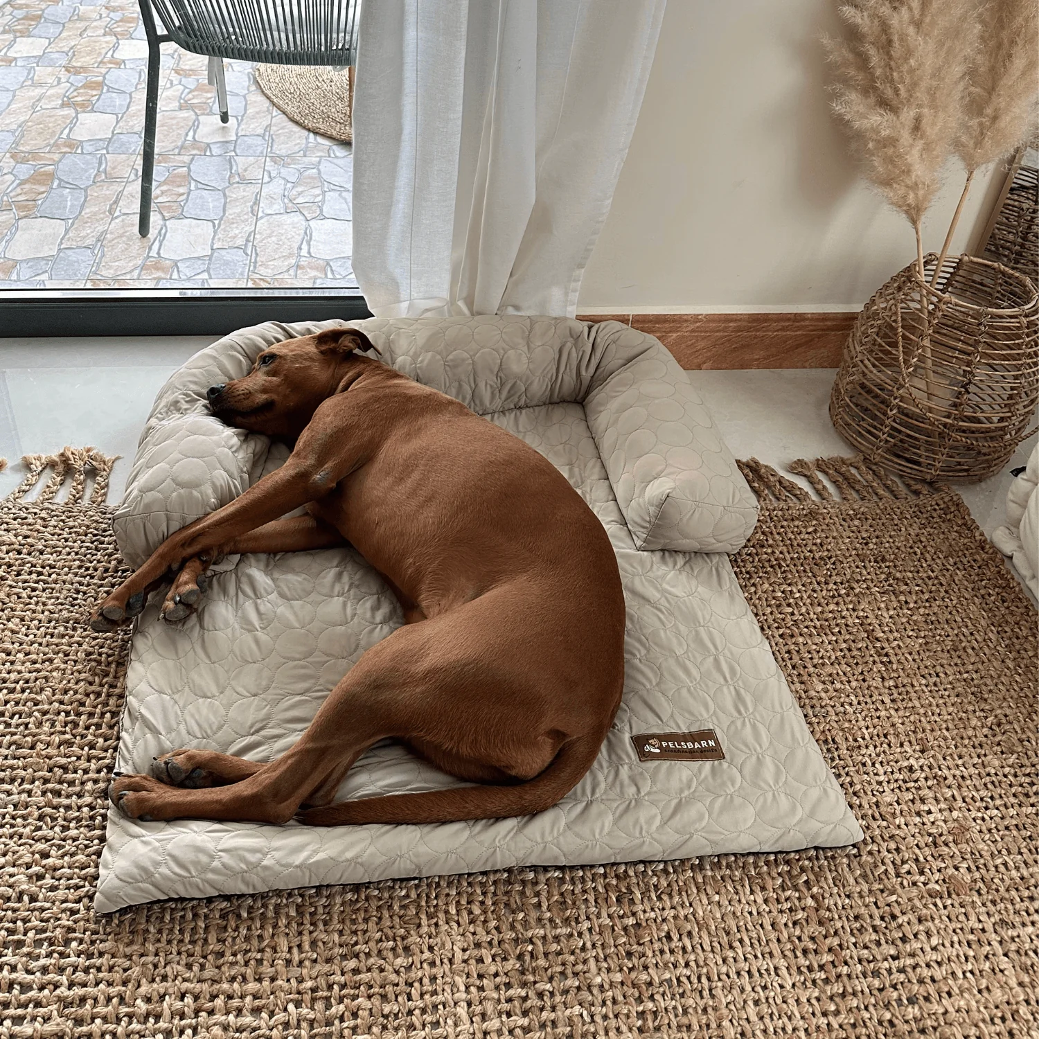 Pelsbarn kühlendes Sofabett (4-mal effektiver)