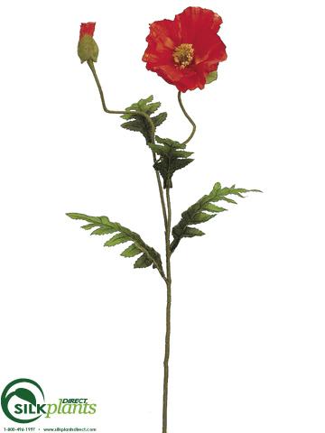 Silk Plants Direct Poppy Spray - Cream - Pack of 12