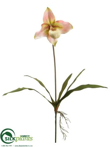 Silk Plants Direct Lady's Slipper Orchid Plant - Fuchsia - Pack of 12