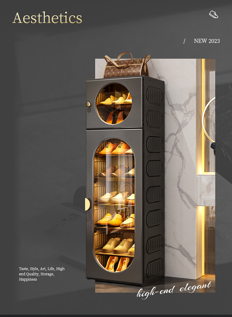 🎅Early Christmas Promotion😻Portable shoe rack organizer