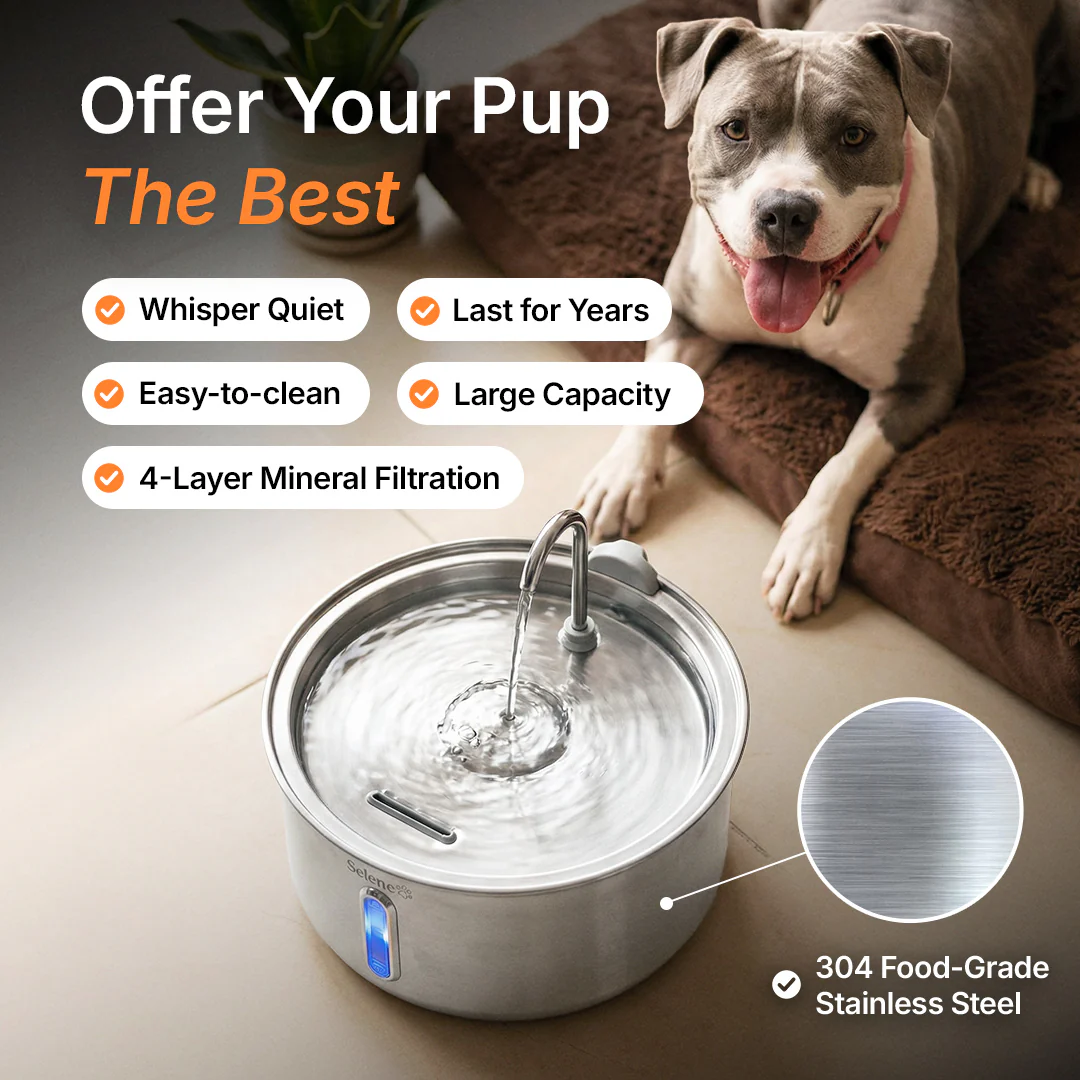 The Doggy Fountain™