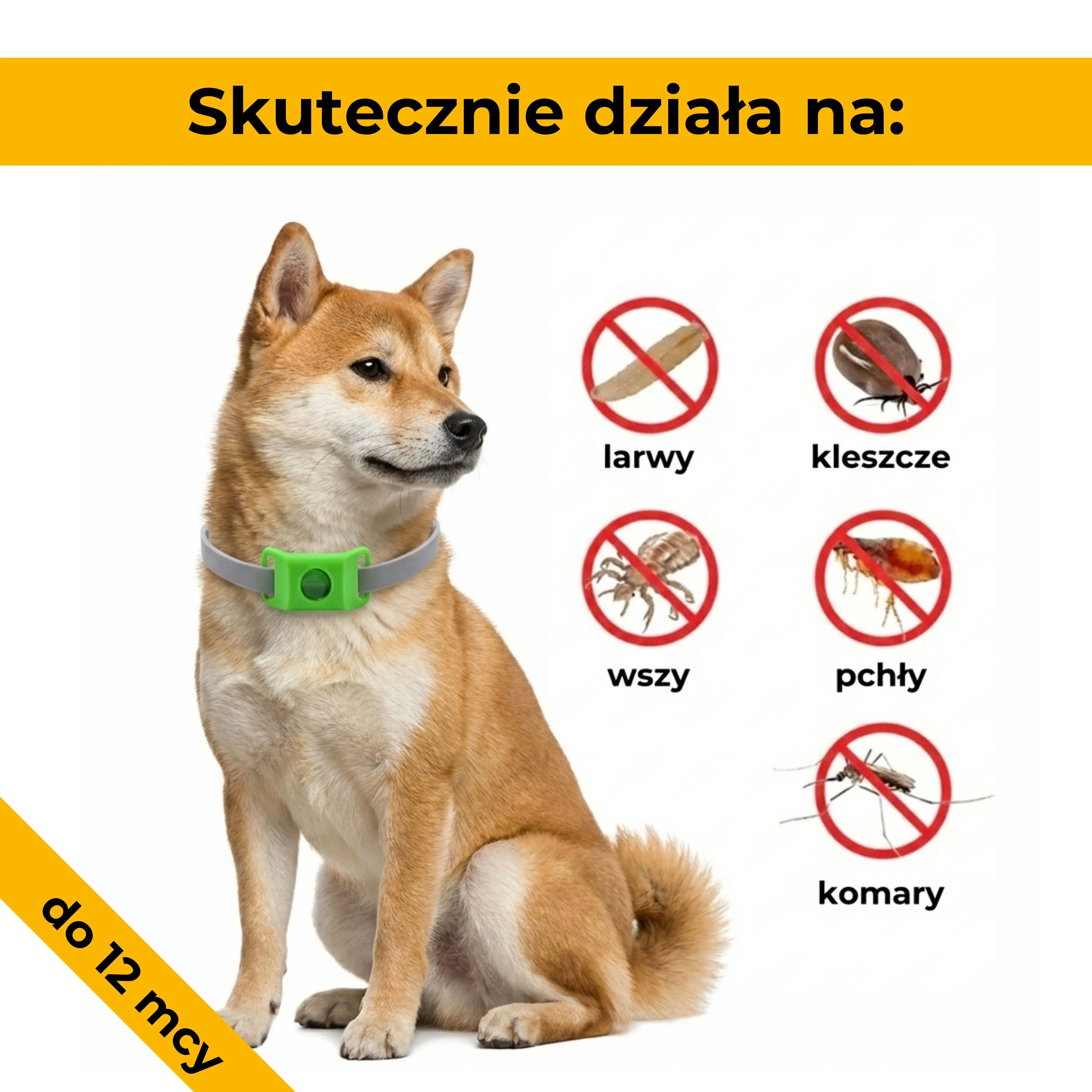 obroża na pchły i kleszcze dla psów