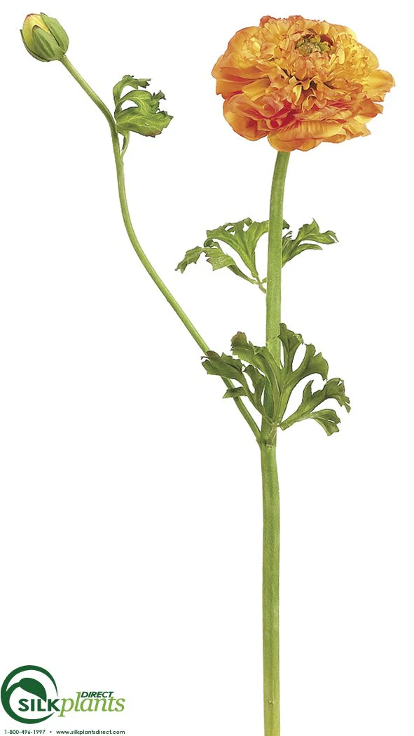 Silk Plants Direct Ranunculus Spray - Burgundy Green - Pack of 12