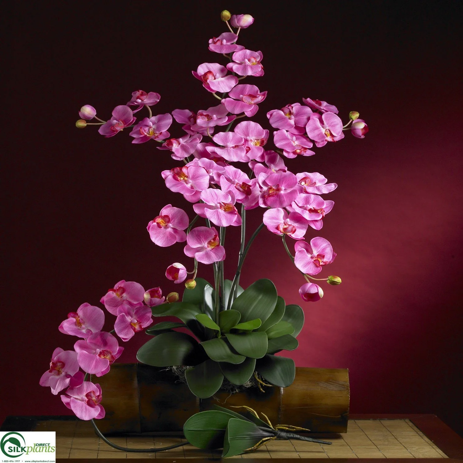 Silk Plants Direct Phalaenopsis Silk Orchid Flower