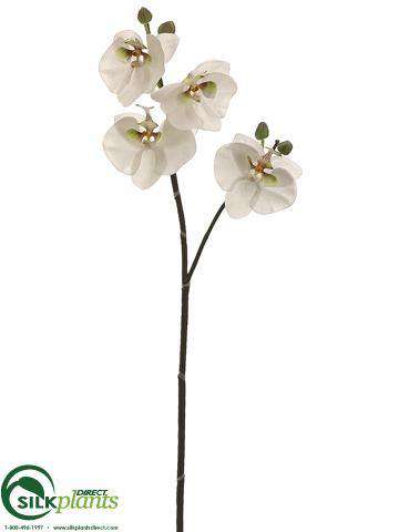 Silk Plants Direct Phalaenopsis Orchid Spray - White Orchid - Pack of 6
