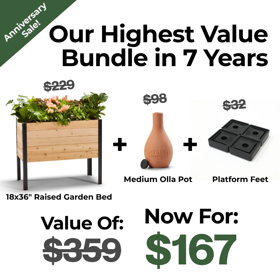 7-Year Anniversary Bundle