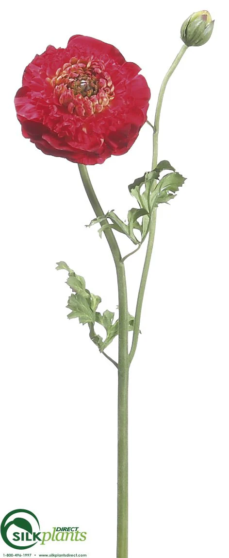 Silk Plants Direct Ranunculus Spray - Burgundy Green - Pack of 12