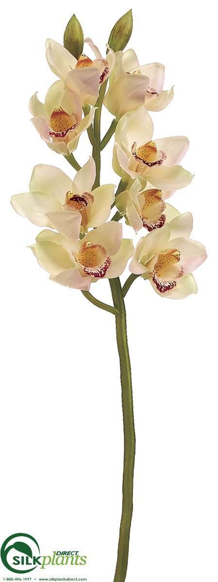 Silk Plants Direct Cymbidium Orchid Spray - Rubrum - Pack of 6