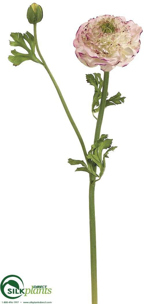 Silk Plants Direct Ranunculus Spray - Burgundy Green - Pack of 12