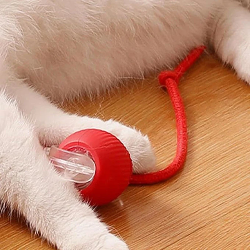 🐱50% Off🐶Smart Automatic Rolling Pet Ball