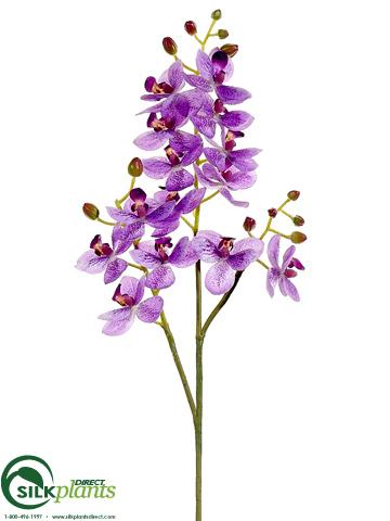 Silk Plants Direct Mini Phalaenopsis Orchid Spray - White - Pack of 6
