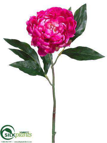 Silk Plants Direct Peony Spray - Pink Two Tone - Pack of 12