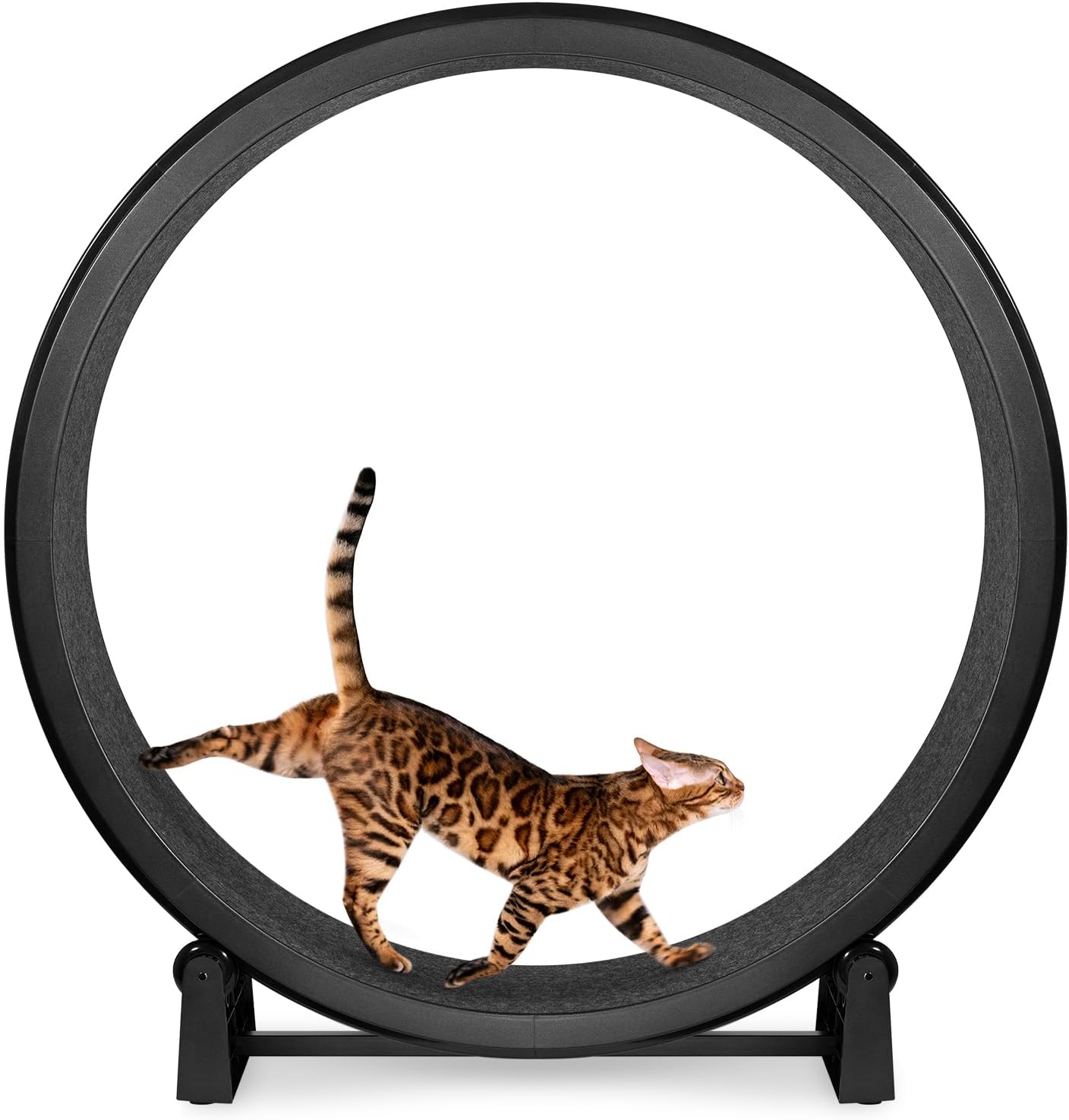Cat Exercise Wheel  - Safe 48