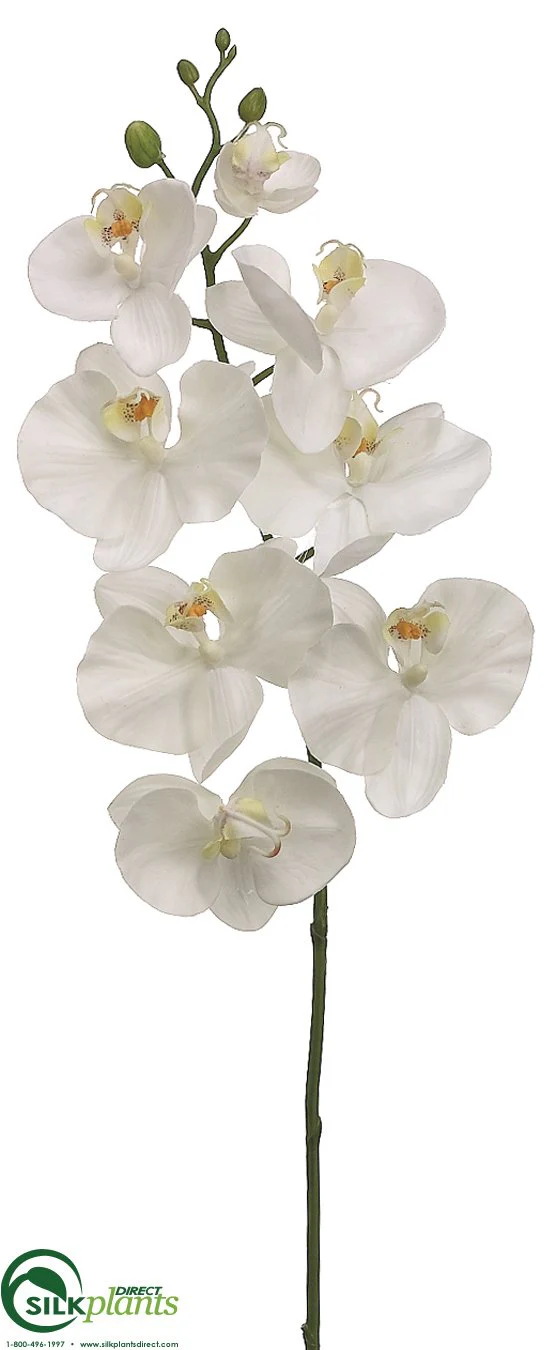 Silk Plants Direct Phalaenopsis Orchid Spray - White - Pack of 12