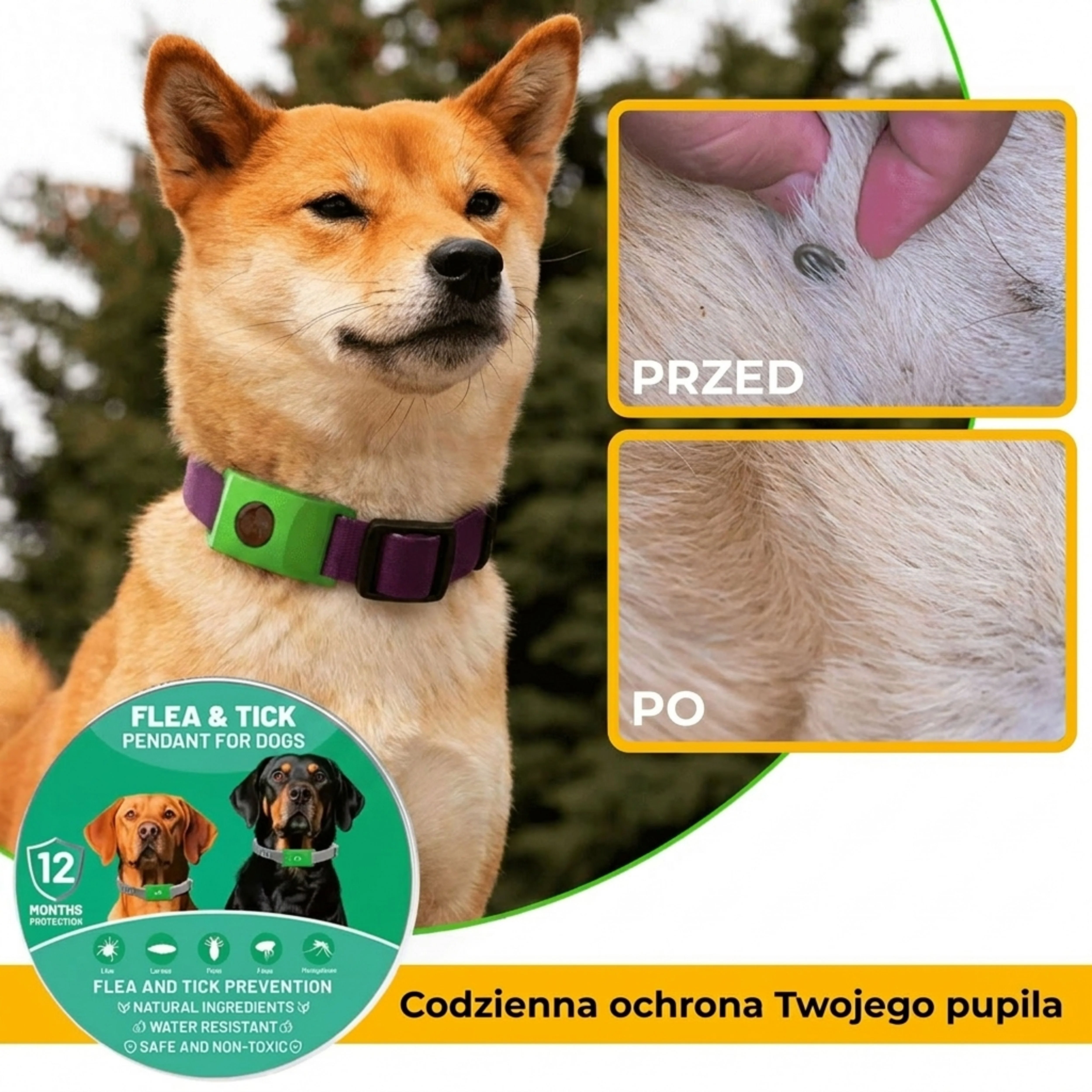 obroża na pchły i kleszcze dla psów