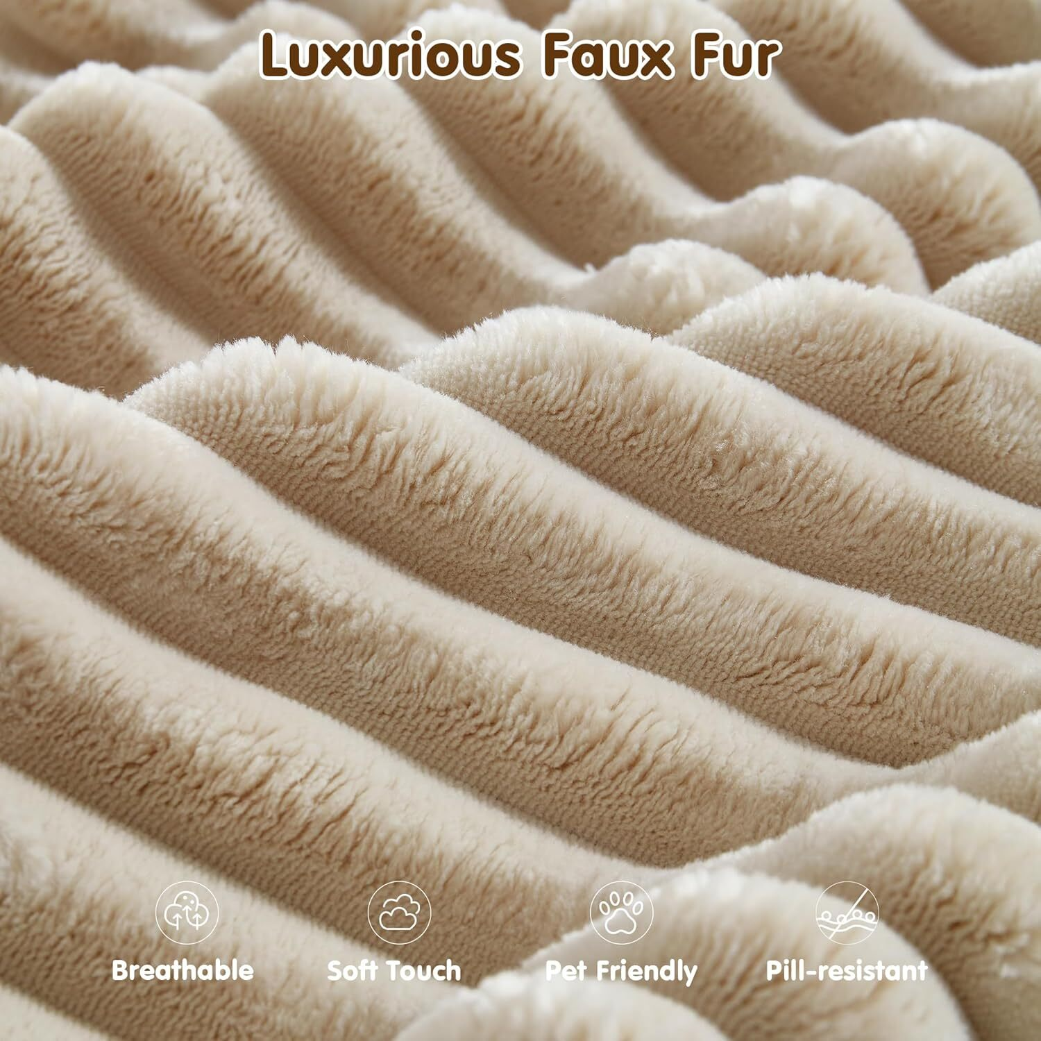 🔥Clearance Sale✨81