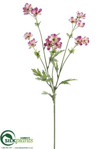 Silk Plants Direct Cosmos Spray - Cream - Pack of 12