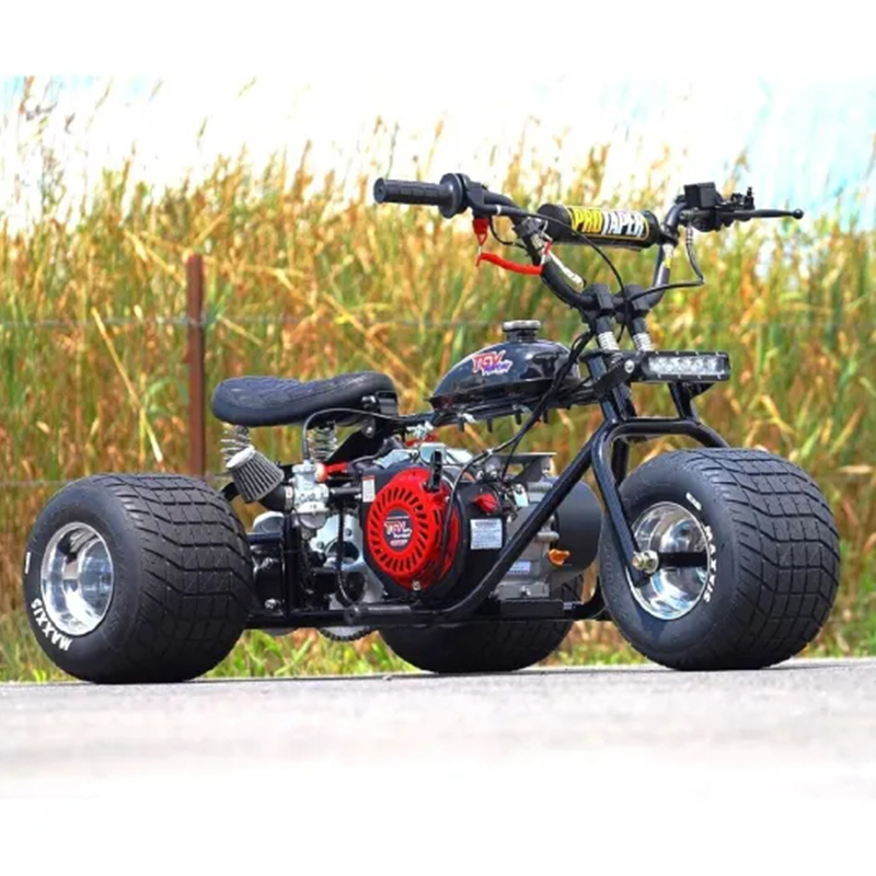 Mini Trike Platinum Edition - Ride in Style for Less!