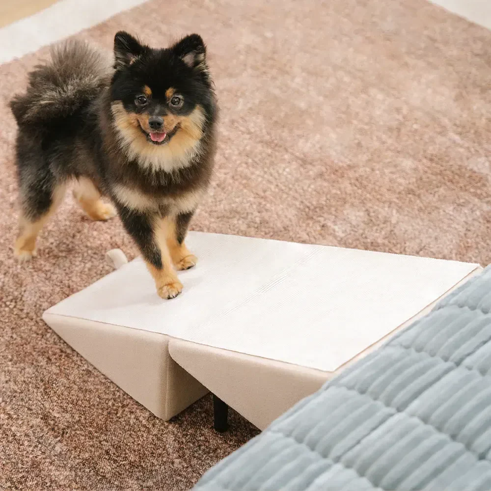 🏆Hot Sale ⚡2-in-1 Wooden Dog Ramp & Step Stool – A Smart, Stylish Solution for Every Pet Household