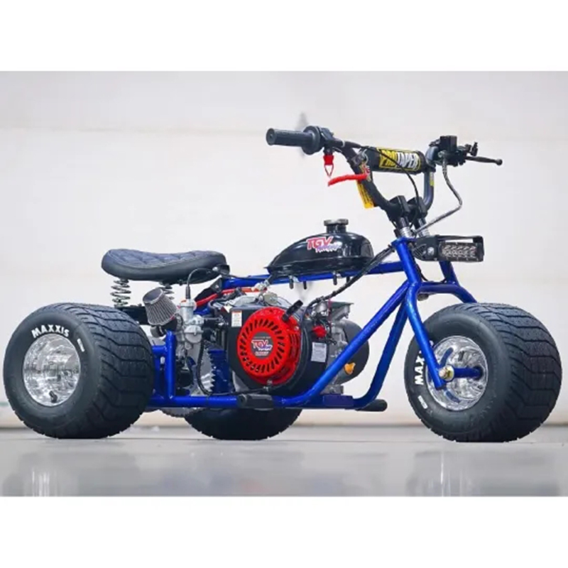 Mini Trike Platinum Edition - Ride in Style for Less!
