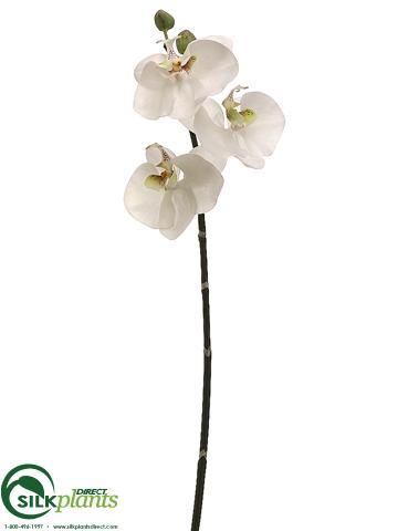 Silk Plants Direct Phalaenopsis Orchid Spray - White Orchid - Pack of 12