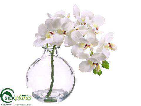 Silk Plants Direct Phalaenopsis Orchid - Pink - Pack of 8