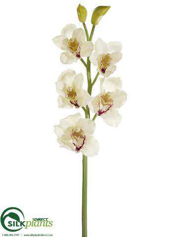 Silk Plants Direct Cymbidium Orchid Spray - Green Burgundy - Pack of 6