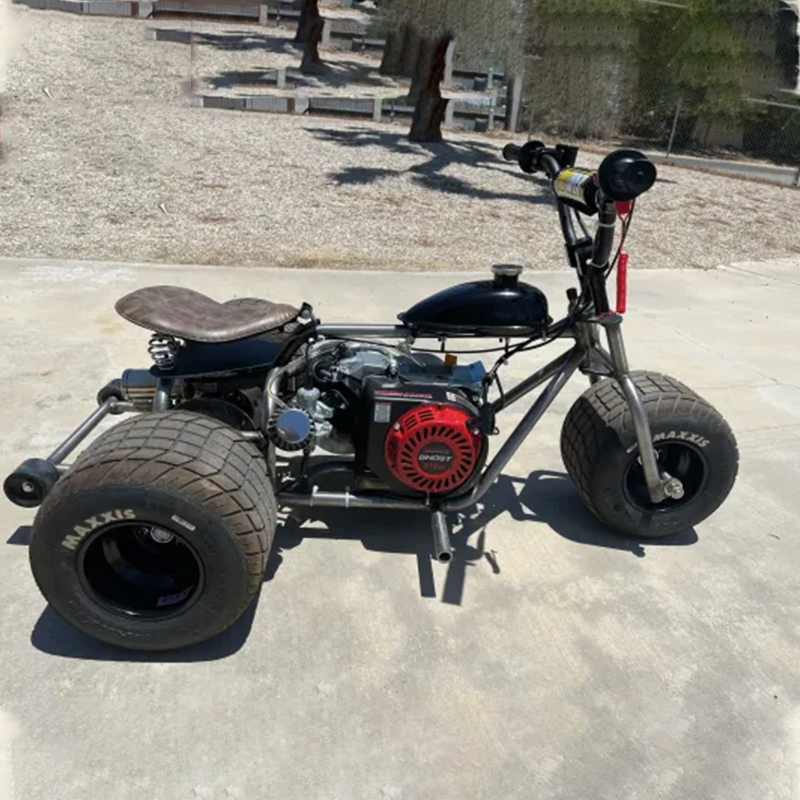 Mini Trike Platinum Edition - Ride in Style for Less!