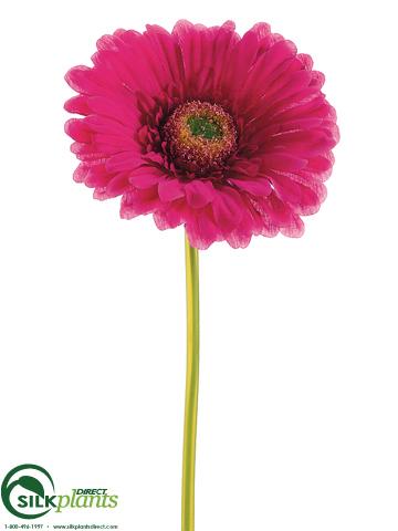 Silk Plants Direct Large Gerbera Daisy Spray - Green Soft - Pack of 24