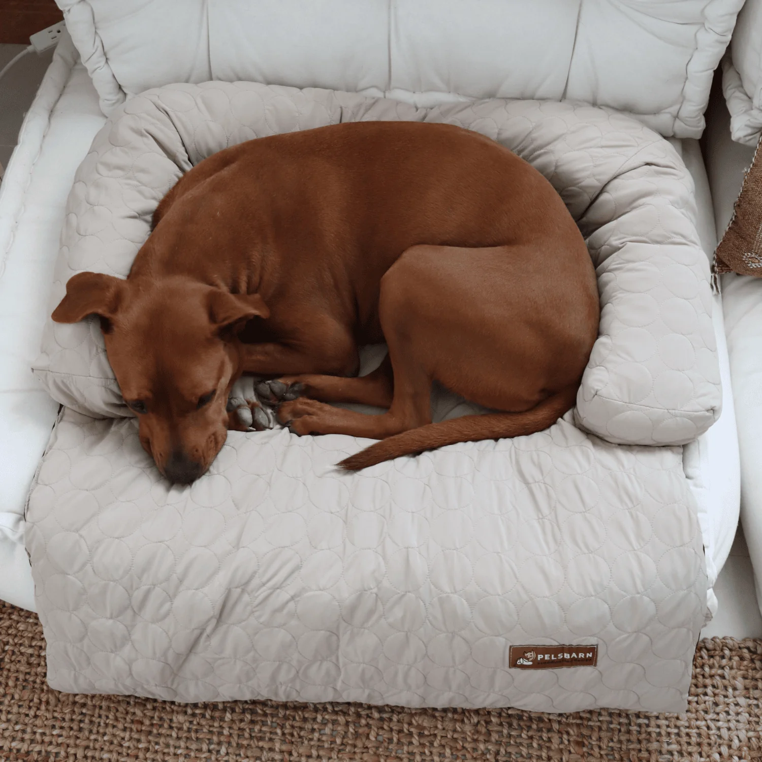 Pelsbarn kühlendes Sofabett (4-mal effektiver)