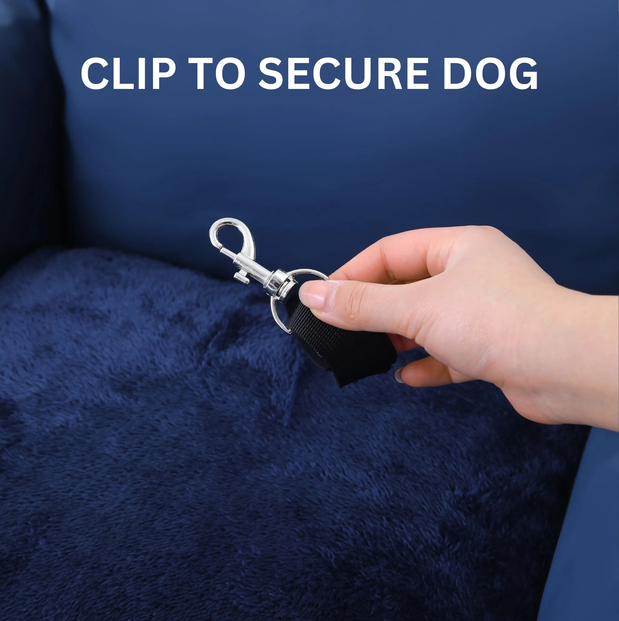 Dog Dock V2 New & Improved LATCH / ISO FIX