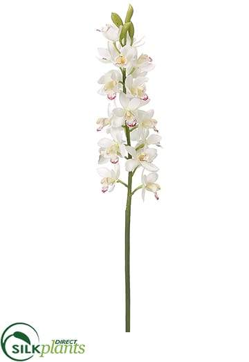 Silk Plants Direct Cymbidium Orchid Spray - Pink Two Tone - Pack of 12