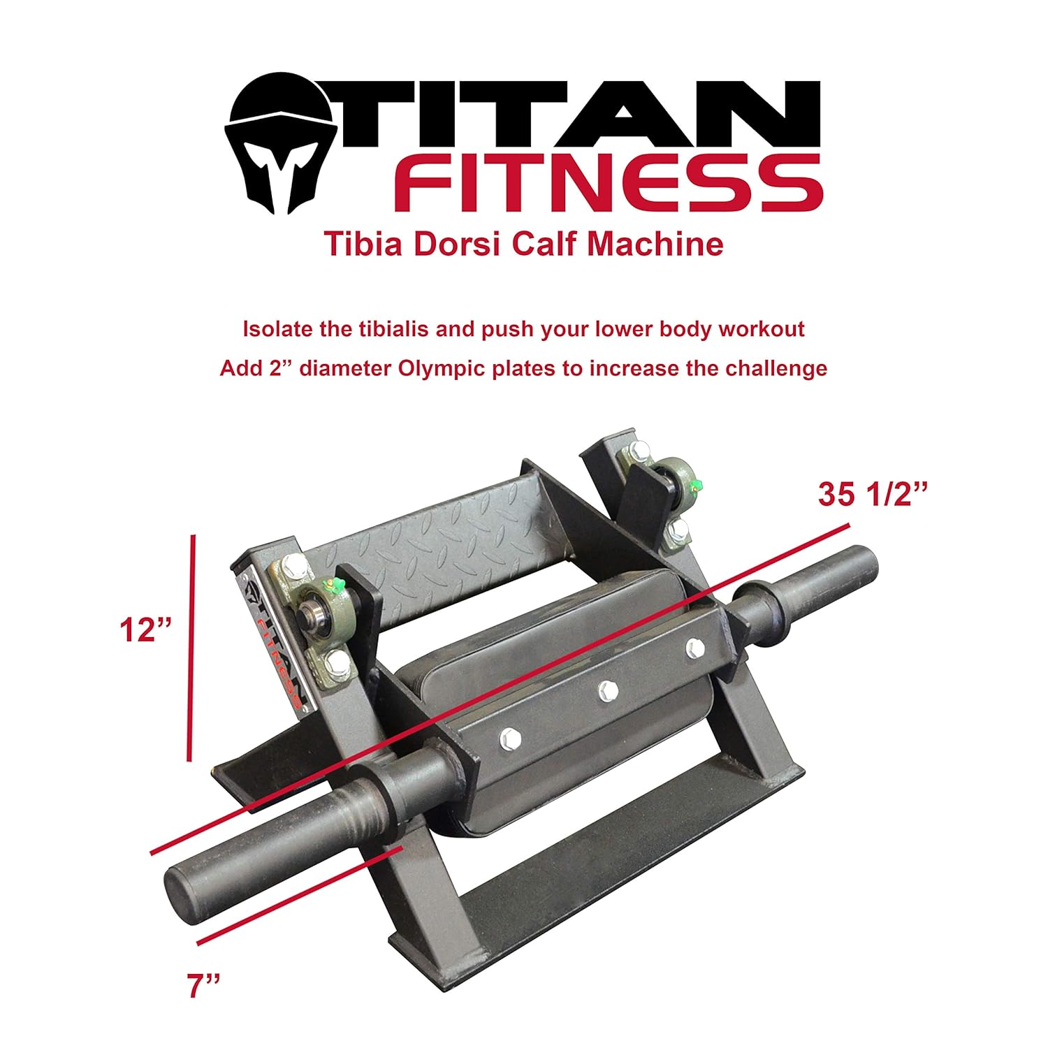 Tibia Dorsi Calf Machine