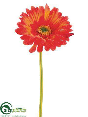 Silk Plants Direct Large Gerbera Daisy Spray - Green Soft - Pack of 24