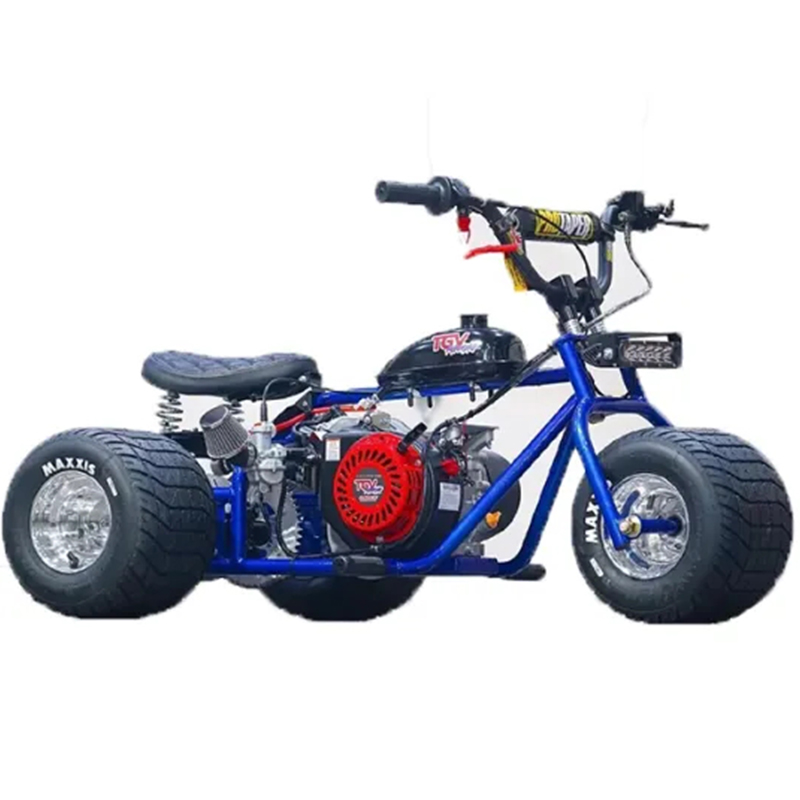 Mini Trike Platinum Edition - Ride in Style for Less!
