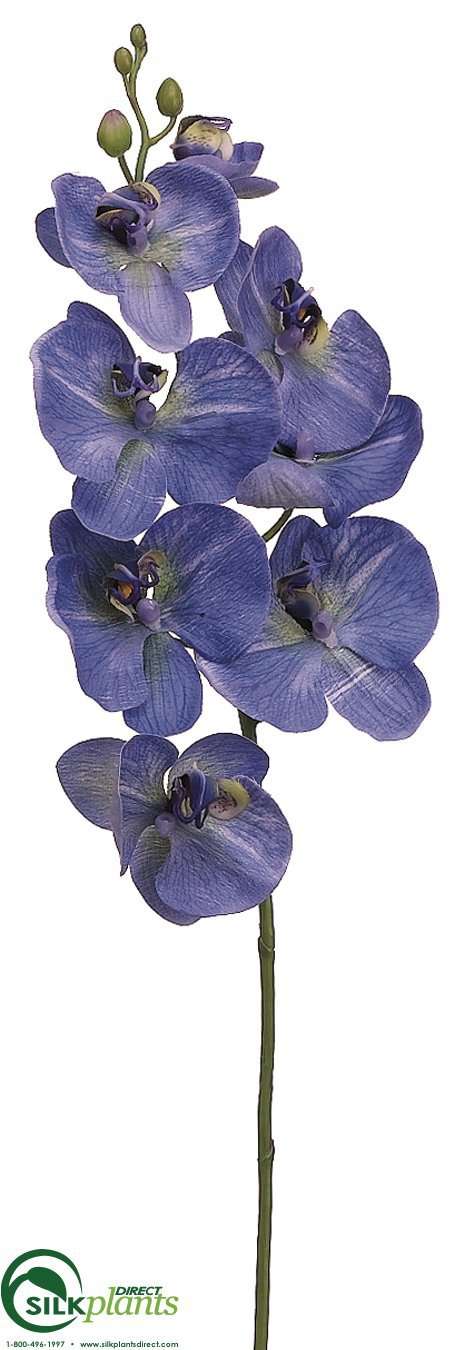 Silk Plants Direct Phalaenopsis Orchid Spray - Orchid - Pack of 12