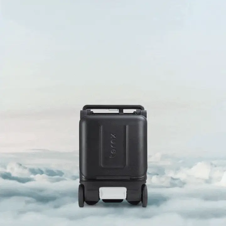 Carry On Luggage Stroller
