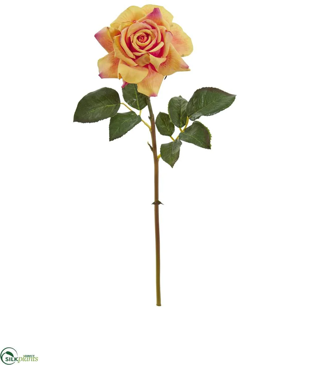 Silk Plants Direct Rose Artificial Flower - Black Red - Pack of 6