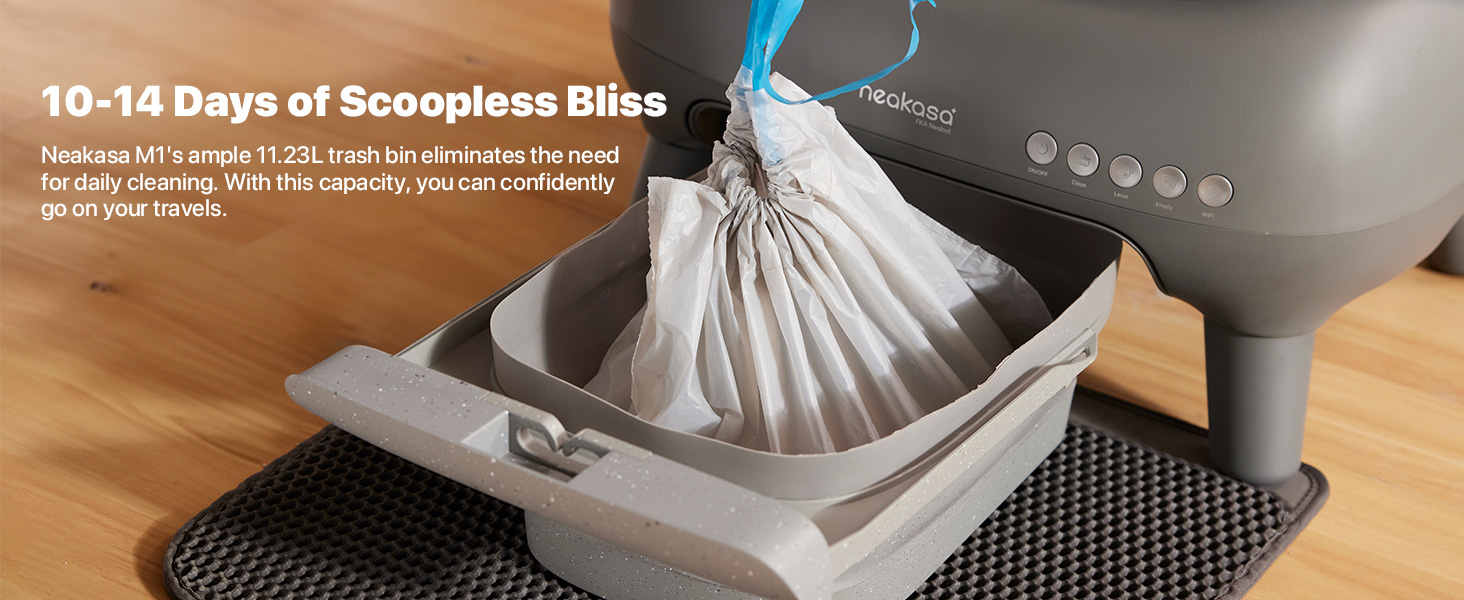 14 Days of Scoopless Bliss