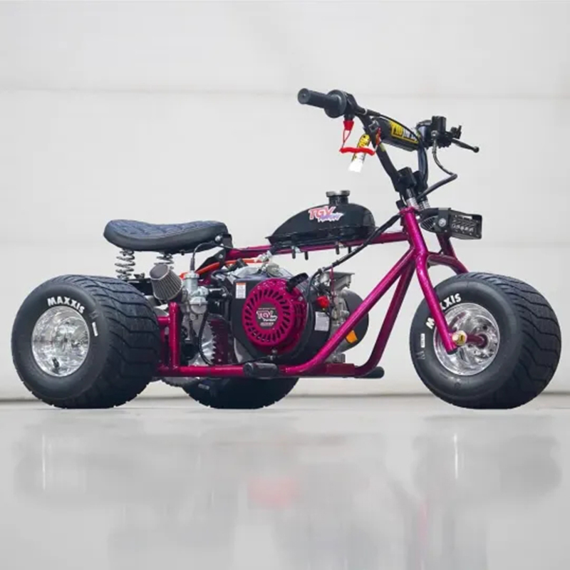 Mini Trike Platinum Edition - Ride in Style for Less!