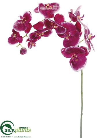 Silk Plants Direct Phalaenopsis Orchid Spray - Cream Yellow - Pack of 4